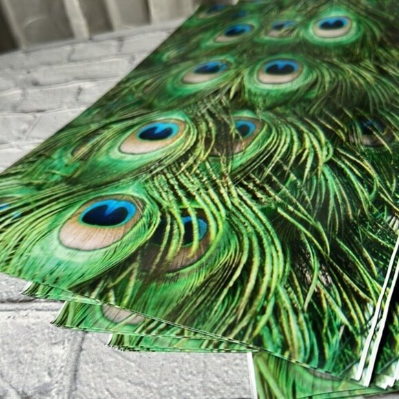 Poly Mailers Peacock Feathers 10” x 13” 50 pack - Picture 3 of 8